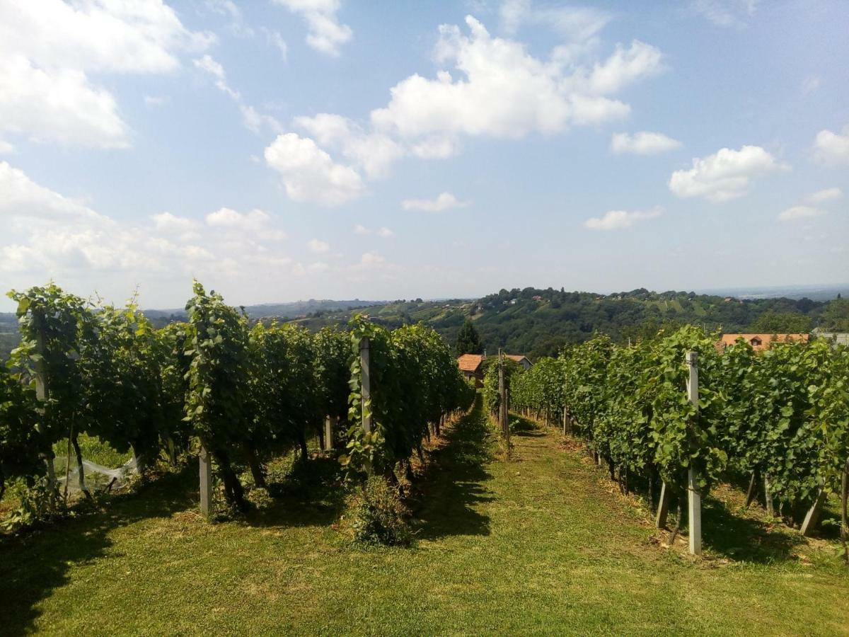 Villa Kuca Za Odmor Japica Sveti Martin Na Muri Esterno foto