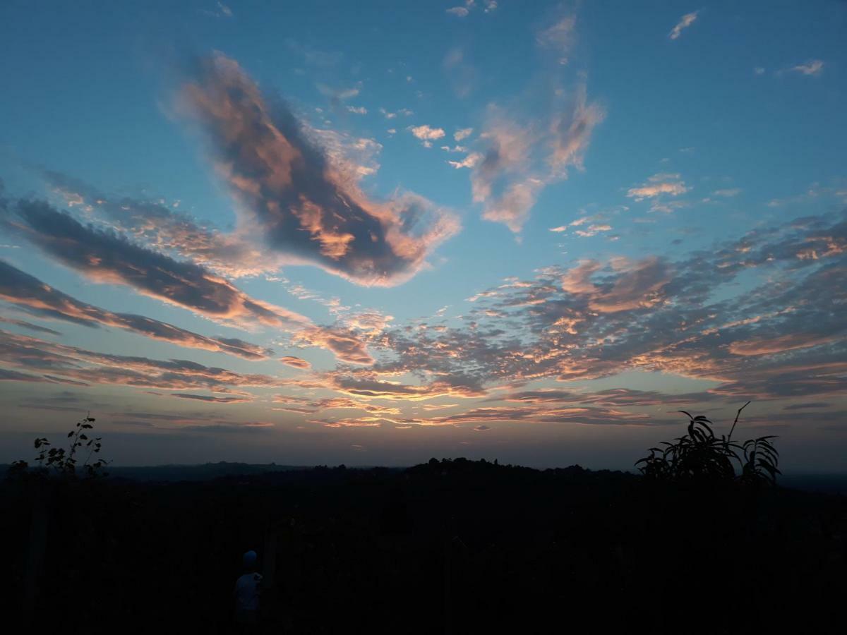 Villa Kuca Za Odmor Japica Sveti Martin Na Muri Esterno foto