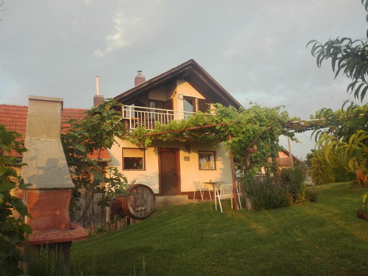 Villa Kuca Za Odmor Japica Sveti Martin Na Muri Esterno foto