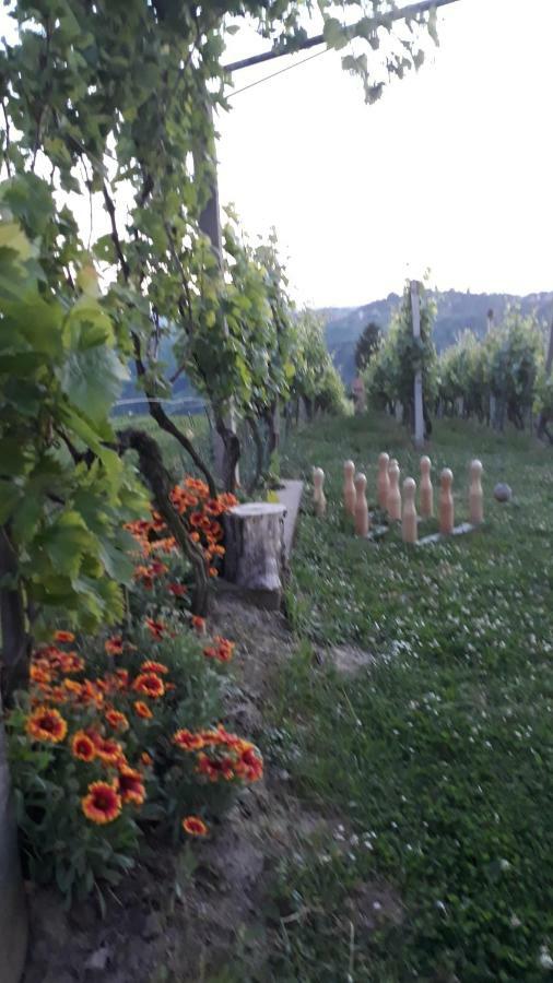 Villa Kuca Za Odmor Japica Sveti Martin Na Muri Esterno foto