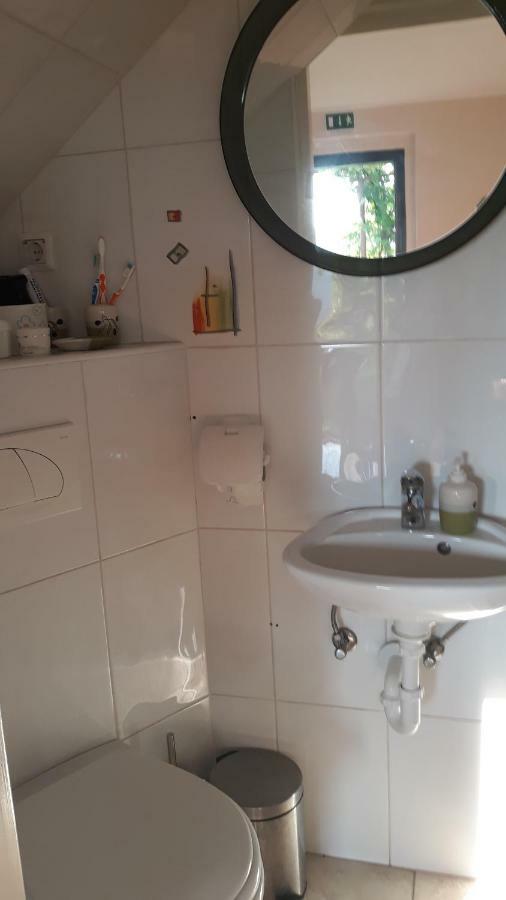 Villa Kuca Za Odmor Japica Sveti Martin Na Muri Esterno foto